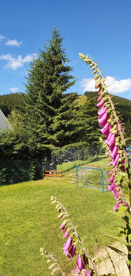 Pension Renata Harrachov Exterior foto
